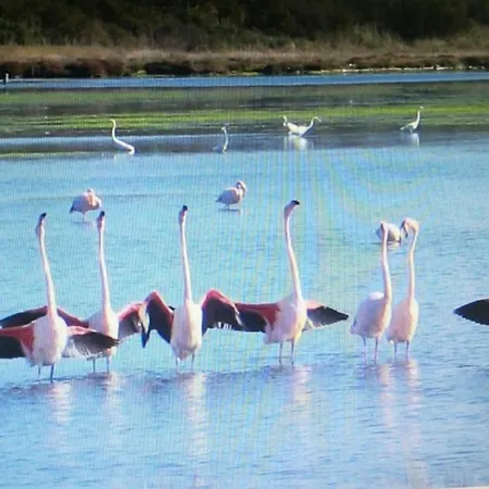 לינה וארוחת בוקר Angolo אוריסטאנו